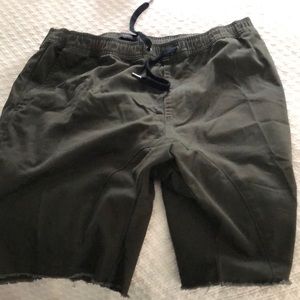 Men’s size 38 Zanerobe shorts